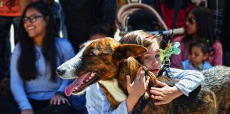 Bioparc celebra este sábado un desfile virtual de perros sin hogar