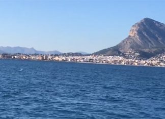 delfines en la bahía de Jávea