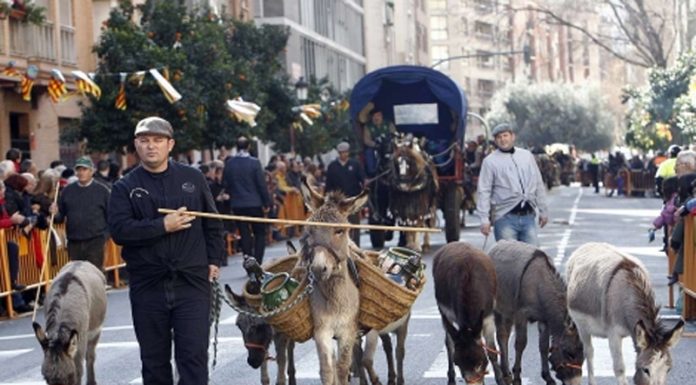 Programa de actos para este fin de semana de Sant Antoni con desfile y bendiciones de animales