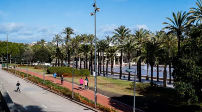 Un corredor entra en parada cardiorrespiratoria en el cauce del Turia nuevo tramo jardín Turia