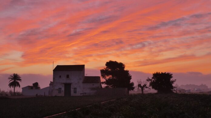 @xusvalencia huerta de Meliana