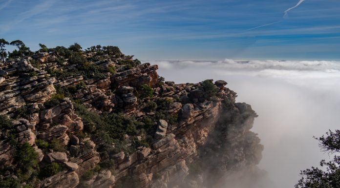 Esta es la joya ambiental y gastronómica valenciana más visitada los domingos