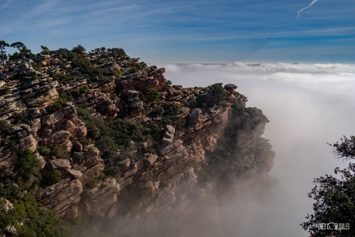 Esta es la joya ambiental y gastronómica valenciana más visitada los domingos