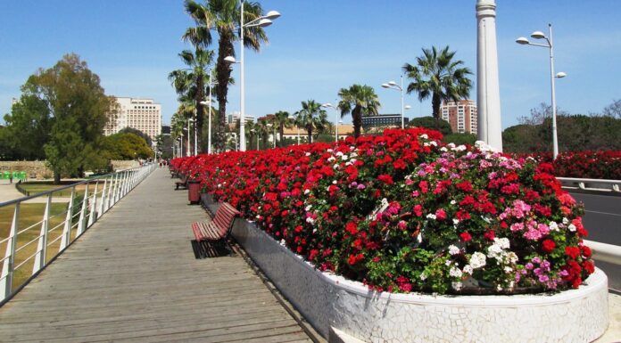 El Puente de las Flores se bautizará en el mes de julio como Puente de Rita Barberá