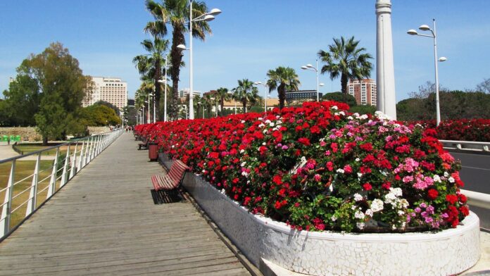 El Puente de las Flores se bautizará en el mes de julio como Puente de Rita Barberá