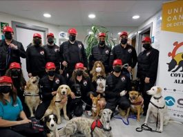 Adiestradores valencianos ofrecen a Sanidad perros detectores de coronavirus