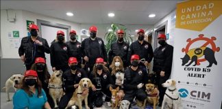Adiestradores valencianos ofrecen a Sanidad perros detectores de coronavirus