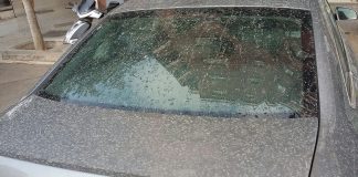 polvo en suspensión