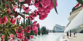 Les Arts celebra el fin de semana de San Valentín con Christian Gerhaher