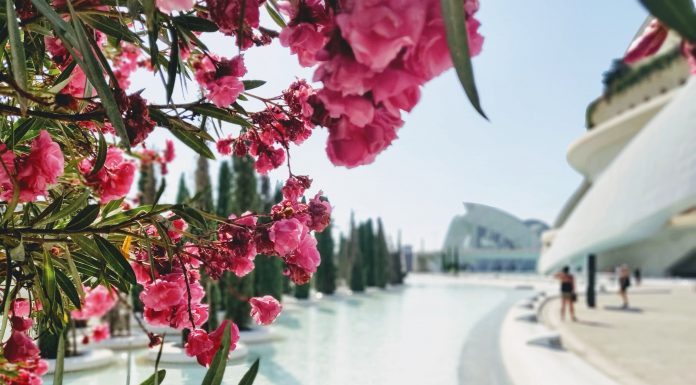 Les Arts celebra el fin de semana de San Valentín de la mano de Christian Gerhaher Les Arts celebra el fin de semana de San Valentín con Christian Gerhaher