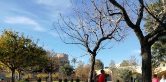 los vacunados pueden contagiar