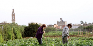 L'agricultura valenciana, una altra gran víctima de la pandèmia