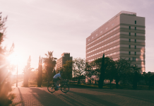 Claves para iniciarse en el mundo del deporte