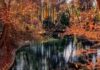Los bosques valencianos más bonitos para visitar en otoño bosques