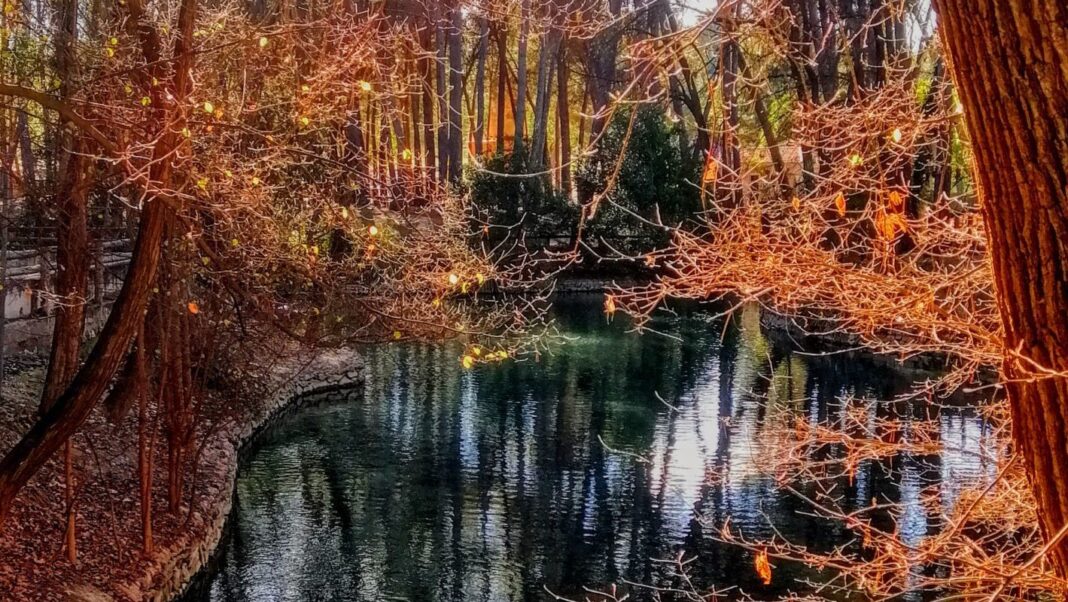 7televalencia-bosque-lliria bosques