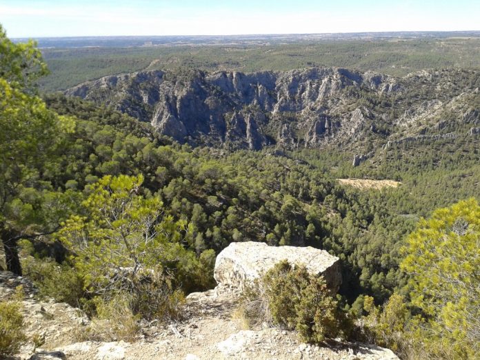 Vistas desde el mirador del parque natural de las Hoces del Cabriel. : @LuraVLC28