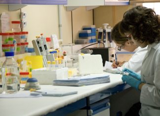 vacuna valenciana del CSIC