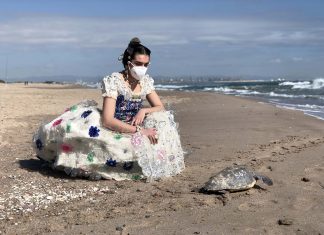 Una fallera protagoniza la última suelta de tortugas del Oceanogràfic