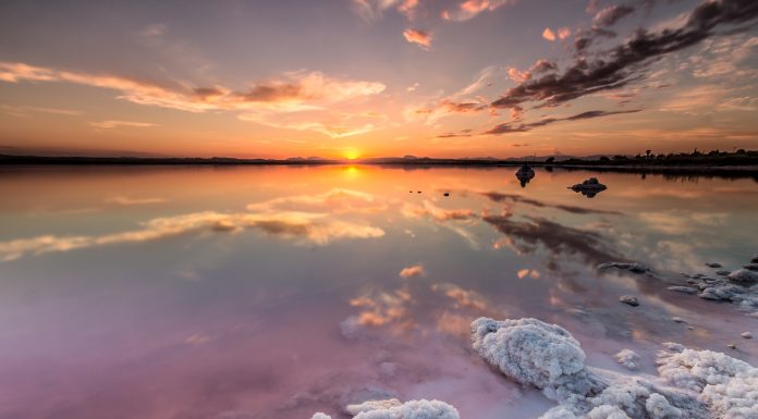 La Laguna Rosa valenciana, una maravilla acuática única en España La Laguna Rosa valenciana, una maravilla acuática única en España