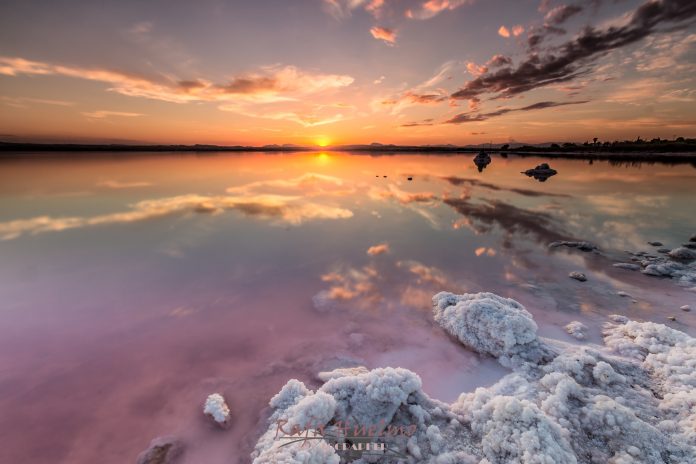 La Laguna Rosa valenciana, una maravilla acuática única en España