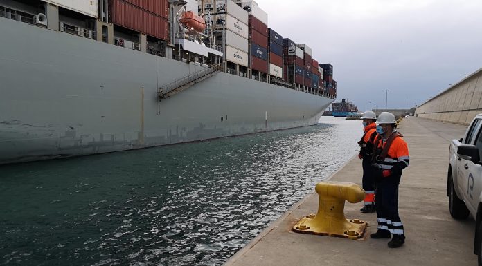 El cep indi entra a València CORONAVIRUS | La cepa india entra en la ciudad de Valencia