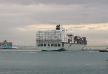 El Puerto de Valencia confina dos buques que podrían llevar la cepa india