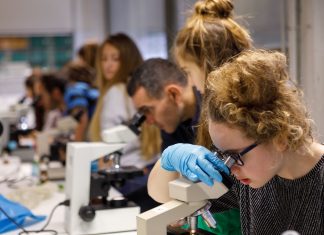 Estos son los 20 profesores más brillantes de la Comunitat Valenciana