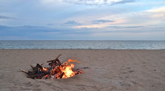 Agotan la leña en el paseo marítimo de Valencia en pocos minutos Valencia cancela la celebración de la Noche de San Juan en las playas de la ciudad