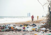 Banderas negras 2021 | Seis playas valencianas entre las peores de España Seis playas Valencianas son elegidas como las peores de España