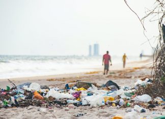 Seis playas Valencianas son elegidas como las peores de España