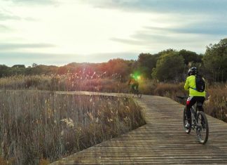 Proponen un nuevo carril bici para unir cinco municipios de la Horta Sud con la Albufera