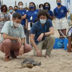El Oceanogràfic presenta la campaña "Tortugas en el Mediterráneo"