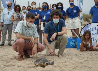 El Oceanogràfic presenta la campaña "Tortugas en el Mediterráneo"