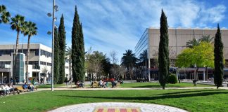 Notas de corte de las universidades valencianas