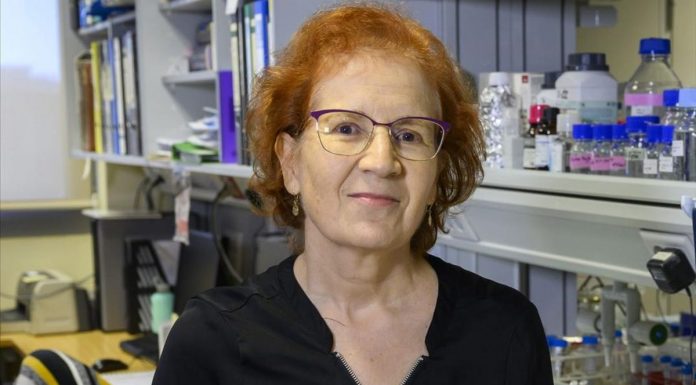 La última predicción de Margarita del Val enciende las alarmas