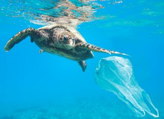 Oceanogràfic y Paradores activan la campaña “El mar empieza aquí”