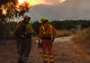 Estabilizan el Incendio forestal en el Parque Fluvial de Túria en Manises