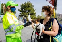El Ayuntamiento de Valencia obligará a limpiar los orines de los perros