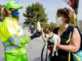El Ayuntamiento de Valencia obligará a limpiar los orines de los perros