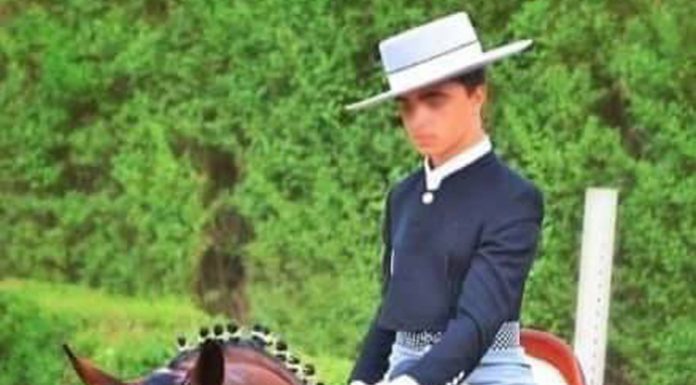 Un niño de 16 años sufre una caída mortal cuando montaba a caballo en Valencia Caída mortal caballo