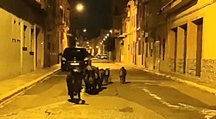 Vídeo: Diez jabalíes sorprenden por las calles de Carcaixent