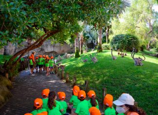 La escuela de Navidad de Bioparc vuelve cargada de actividades para los más pequeños