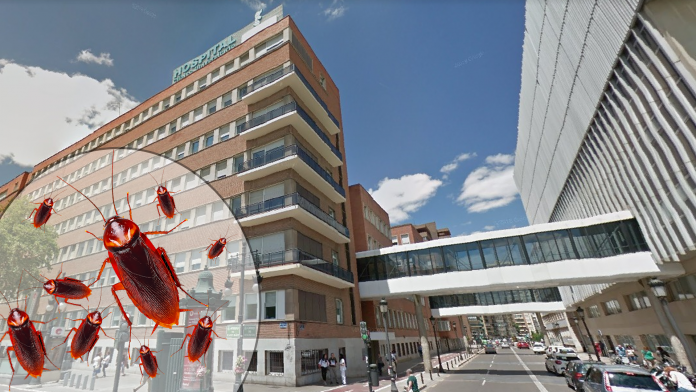 Alertan de brotes de cucarachas en el Hospital Clínico de Valencia