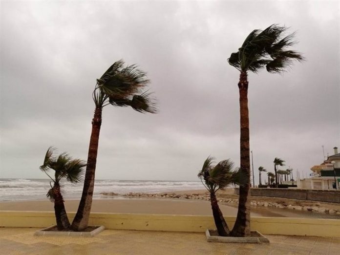 Valencia entra en alerta amarilla por riesgo de fuertes rachas de viento