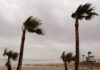 El viento azota la Comunitat Valenciana con rachas de más de 100 km/h Valencia entra en alerta amarilla por riesgo de fuertes rachas de viento