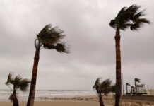 El viento azota la Comunitat Valenciana con rachas de más de 100 km/h Valencia entra en alerta amarilla por riesgo de fuertes rachas de viento