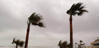 Valencia entra en alerta amarilla por riesgo de fuertes rachas de viento
