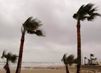 Valencia entra en alerta amarilla por riesgo de fuertes rachas de viento