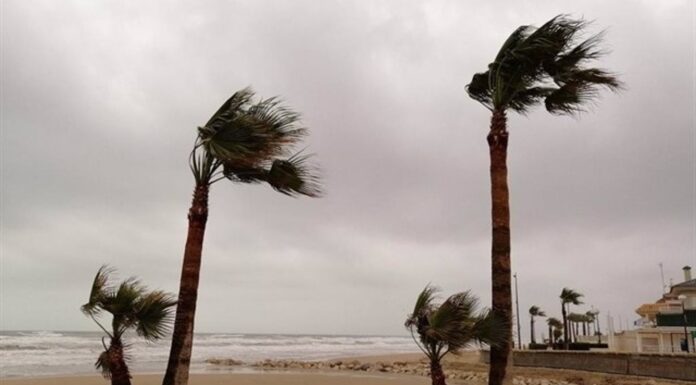 El viento azota la Comunitat Valenciana con rachas de más de 100 km/h Valencia entra en alerta amarilla por riesgo de fuertes rachas de viento