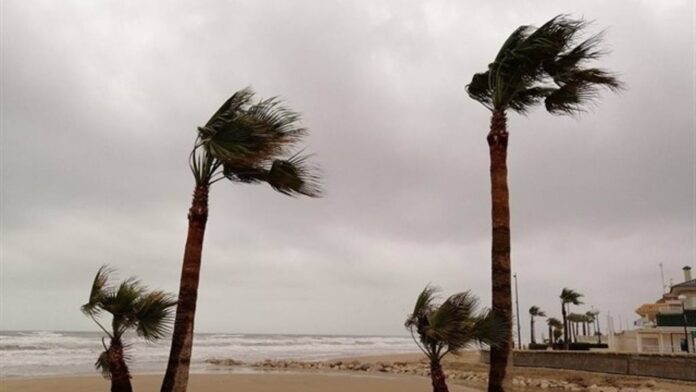El tiempo en la Comunitat: rachas muy fuertes de viento en Castellón y en el interior de Valencia Valencia entra en alerta amarilla por riesgo de fuertes rachas de viento